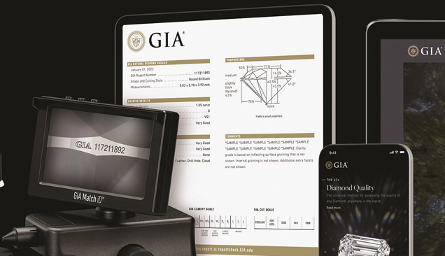 gia 디지털 도시에