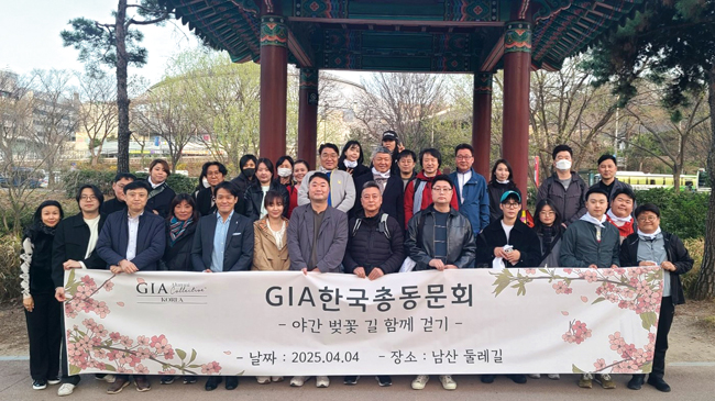 gia동문회 야간 벚꽃길